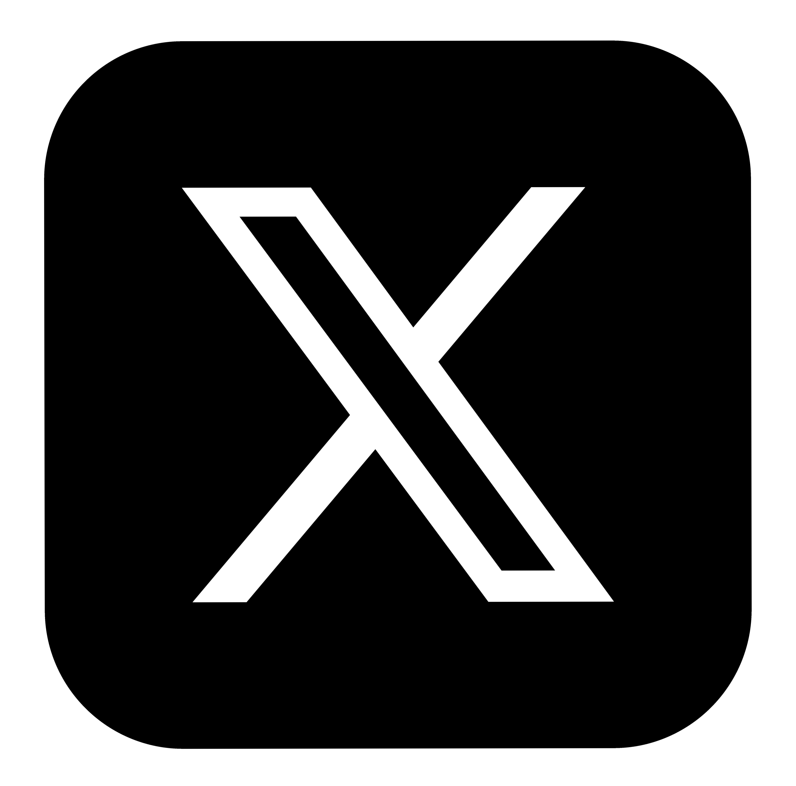 X Icon